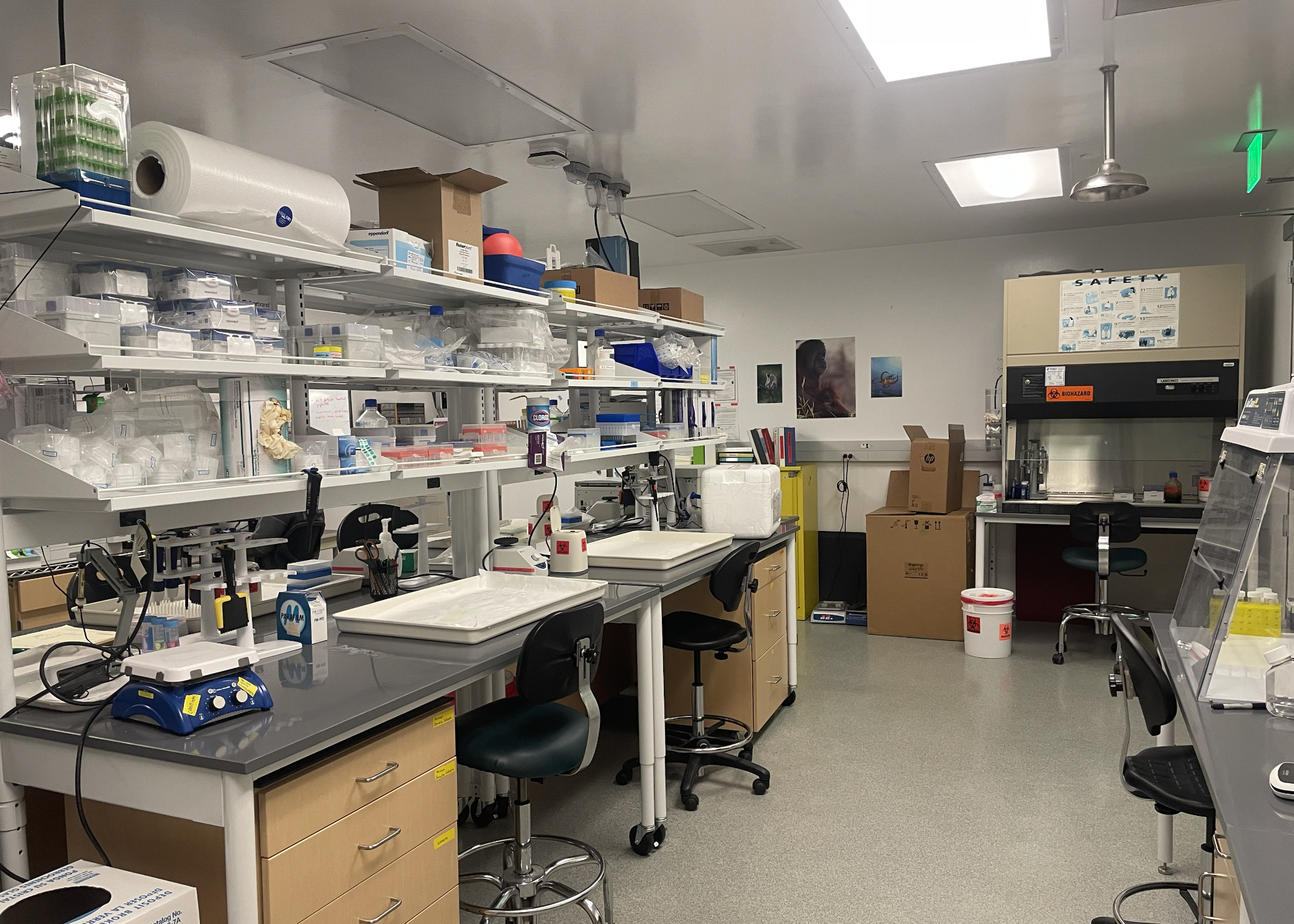 updated_labphoto