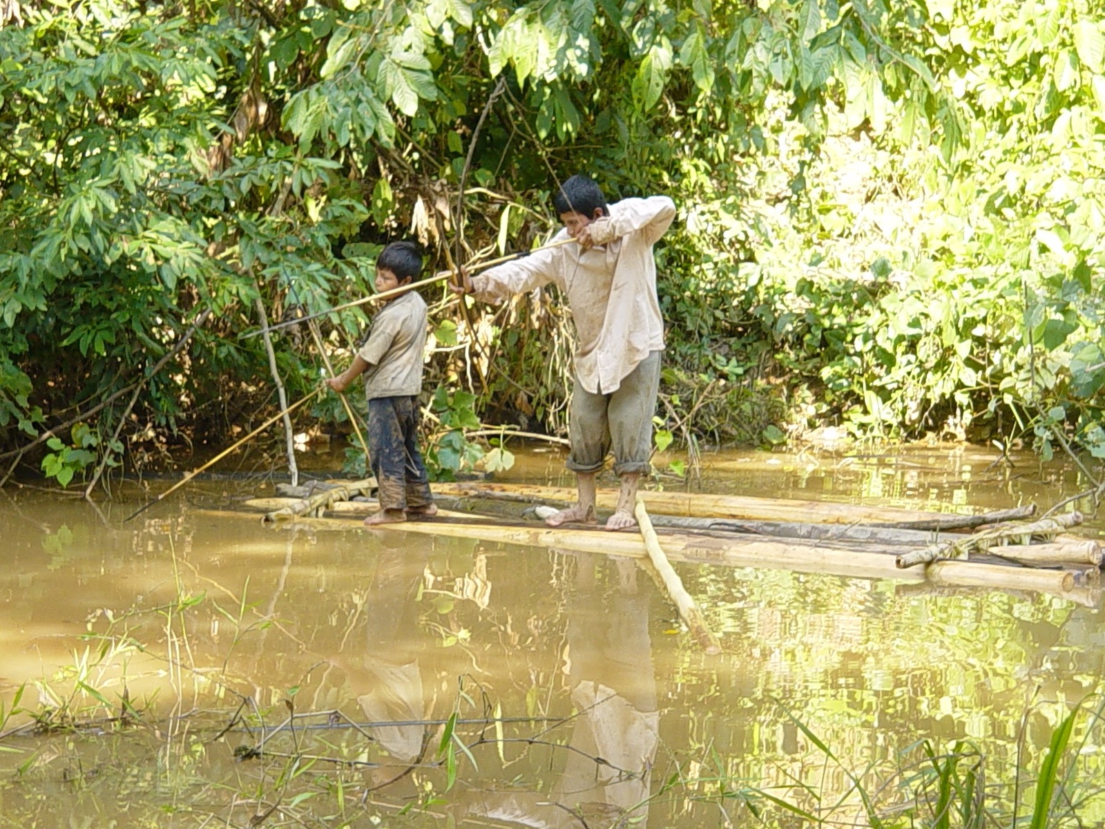 Tsimane Foraging