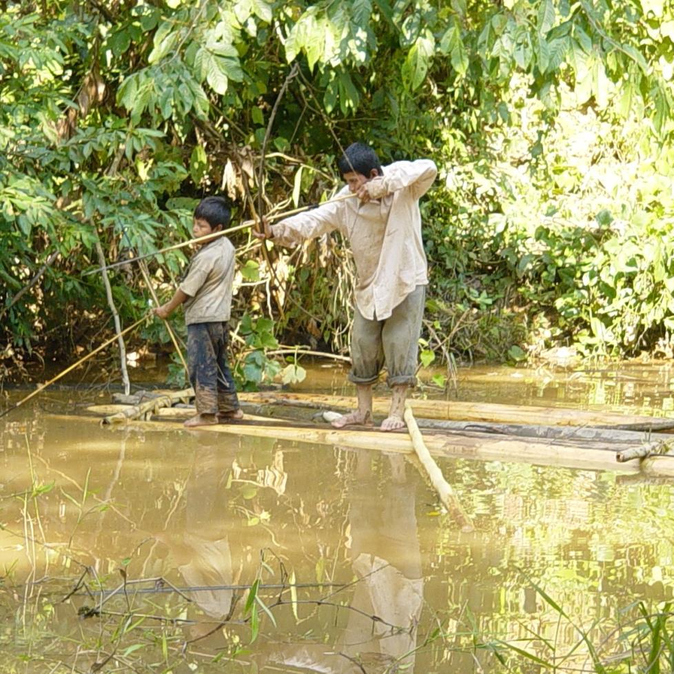 Tsimane Foraging 